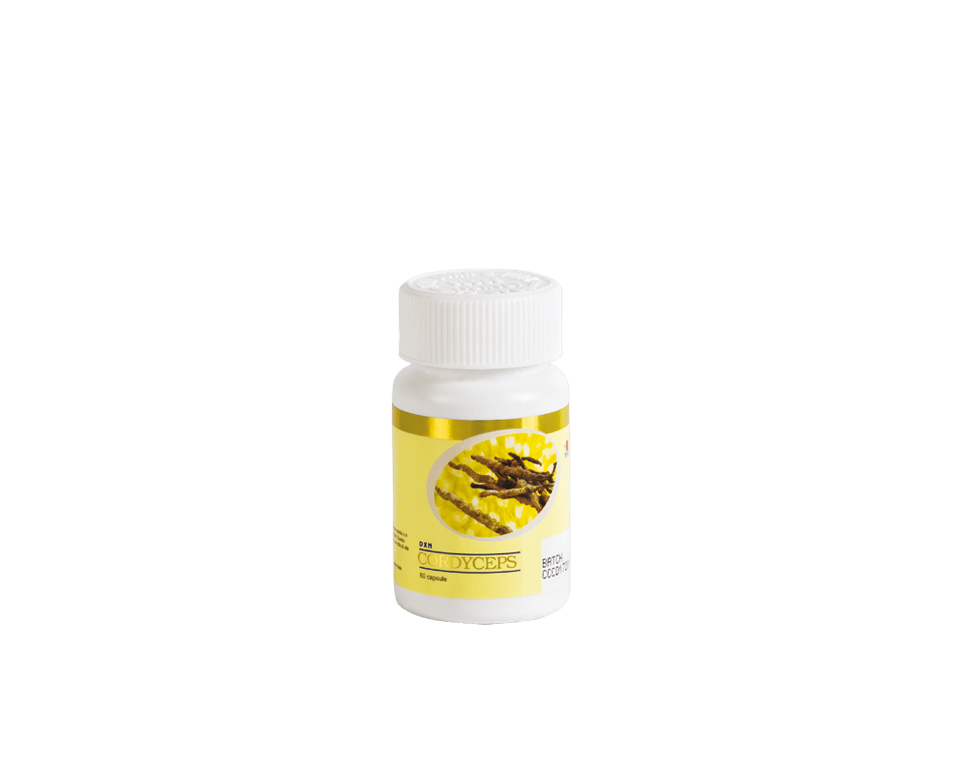 Ganderma Lucidum Capsule Cordyceps